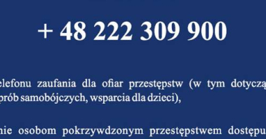 xjNi2wsAzv.jpeg